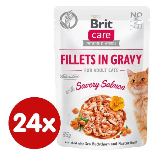 Brit Care Cat Filets in Gravy alutasakos macskaeledel felnőtt macskák részére 24 x 85 g lazaccal