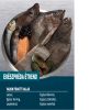 Orijen Small Marine Fish száraz kutyatáp kistesű kölyökkutyák részére 1,8 kg lazac, hering, tőkehal